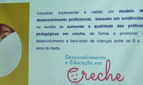 II Seminário de Desenvolvimento e Educação em creche